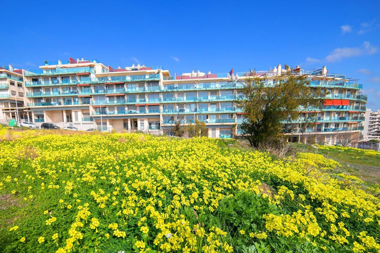 Homeincalpe Borumbot מראה חיצוני תמונה